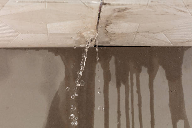 Professional Structural Drying technician working in New Bavaria, OH